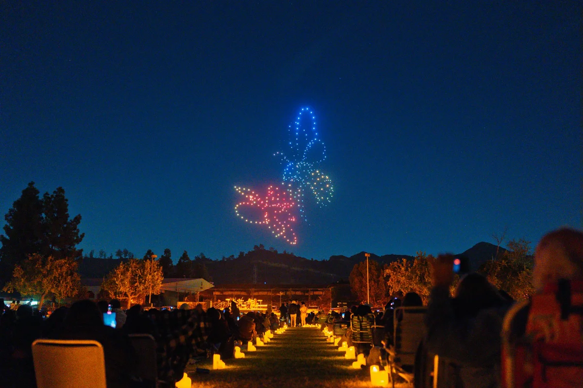 An Illuminating Night Walk Experience Returns to The Forney Area